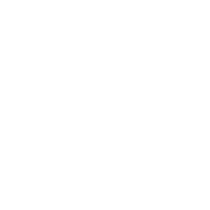 insken1
